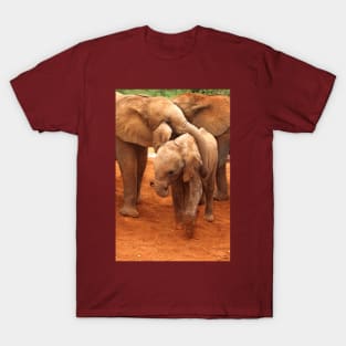 Affectionate Playmates: Baby Elephants T-Shirt